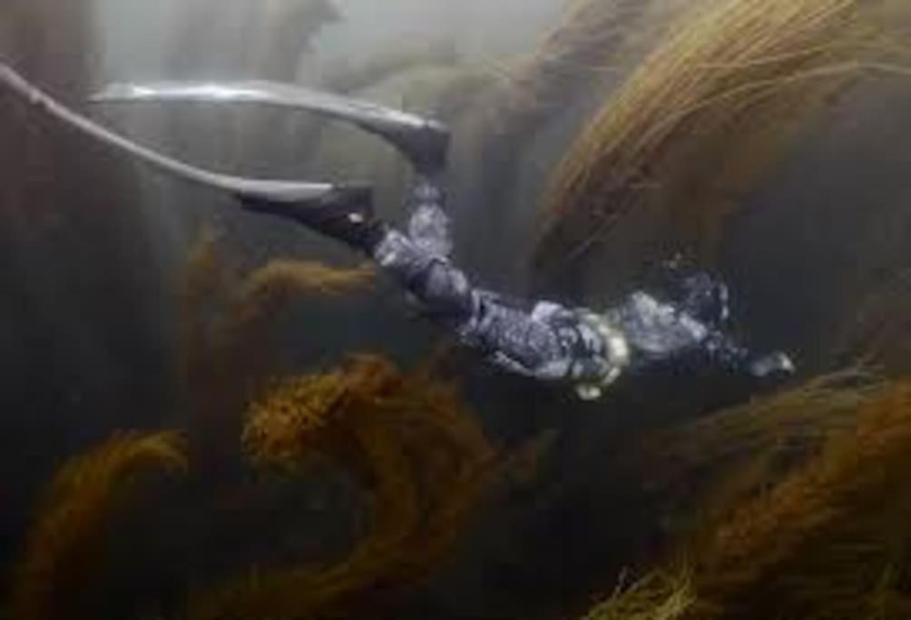 Gite Entre Mer Et Abers Landéda Buitenkant foto