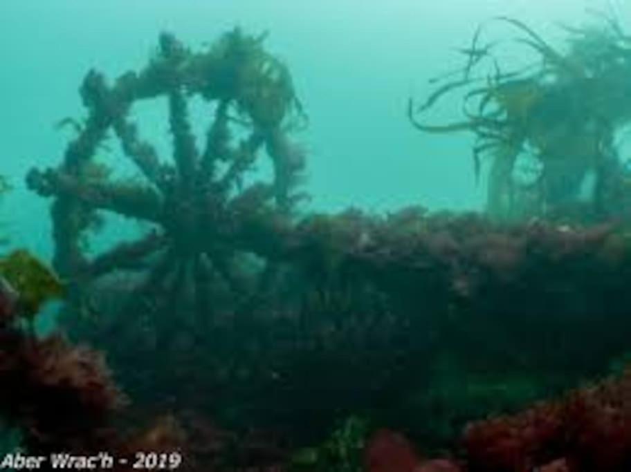 Gite Entre Mer Et Abers Landéda Buitenkant foto