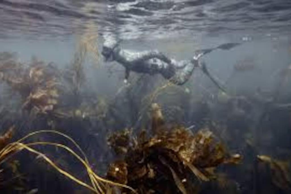 Gite Entre Mer Et Abers Landéda Buitenkant foto