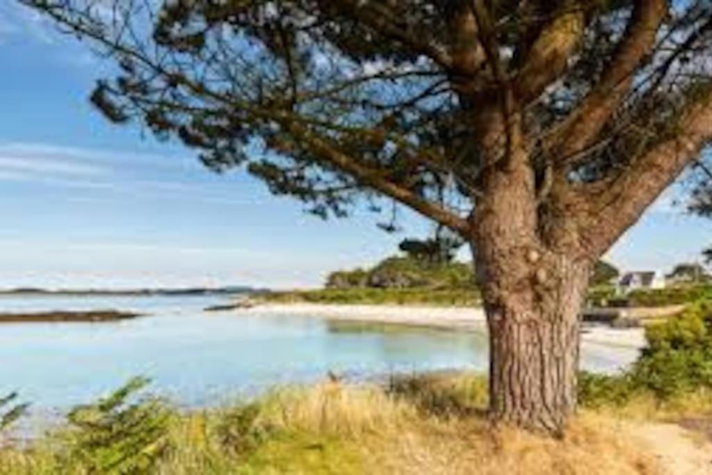 Gite Entre Mer Et Abers Landéda Buitenkant foto